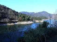 焈劯H?[g_??芎?2$鏖2蠣jbC石雿6u沊?!鐽的简单介绍-开云体育官网